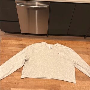 Champion Heather Gray Crop Top